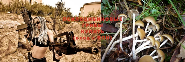 круглые Аркадак