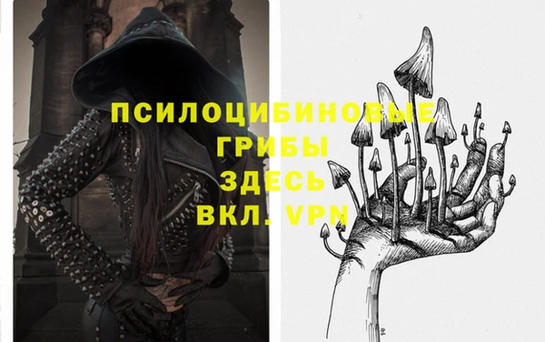 винт Армянск