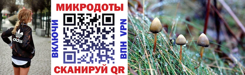 Галлюциногенные грибы Psilocybine cubensis  даркнет сайт  KRAKEN вход  Аша 