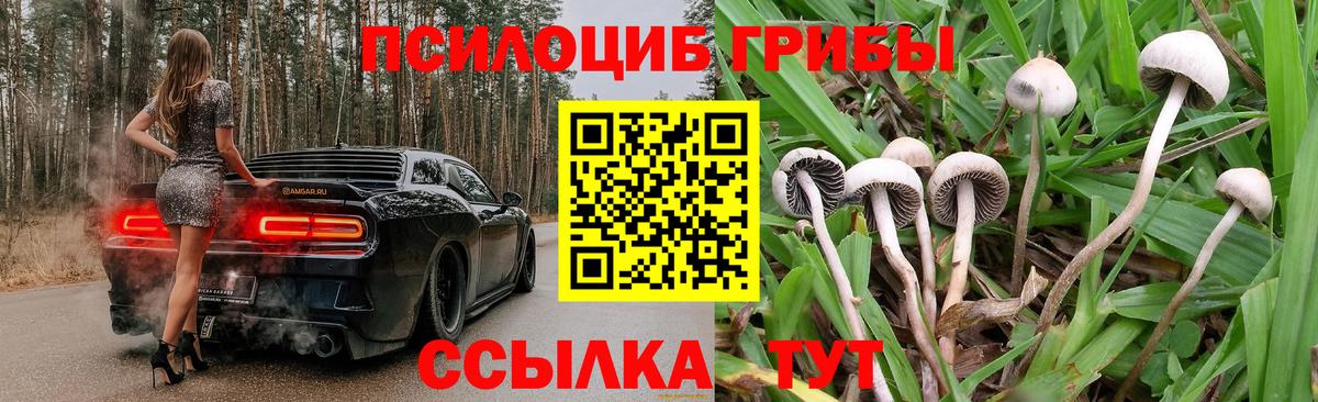 Галлюциногенные грибы прущие грибы  Вход с VPN  Аша 